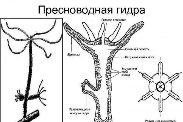 Ссылка кракен vk2 top