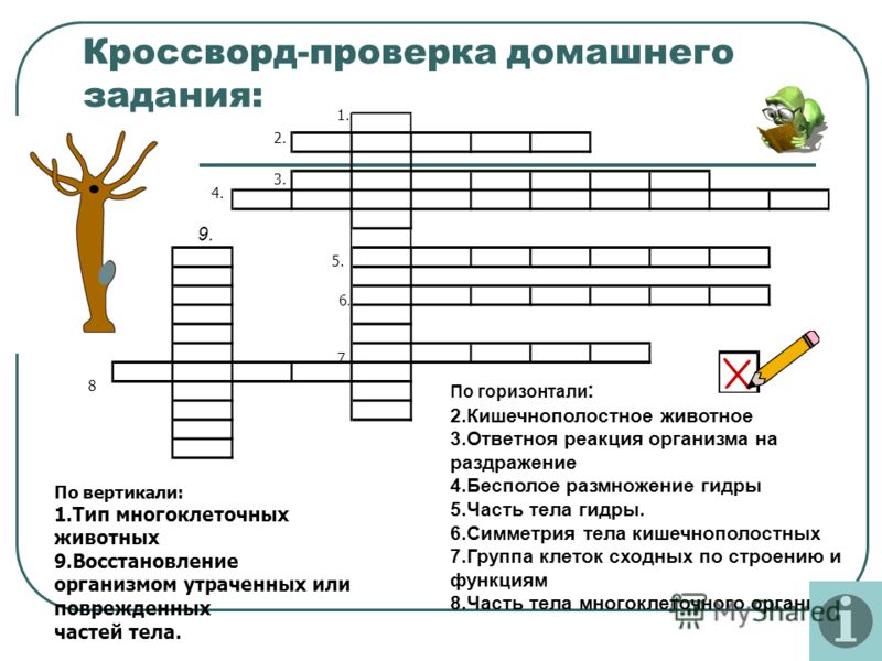 Kraken darknet официальный сайт